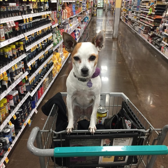 Meet your Posher, Tk - Picture 6 of 7